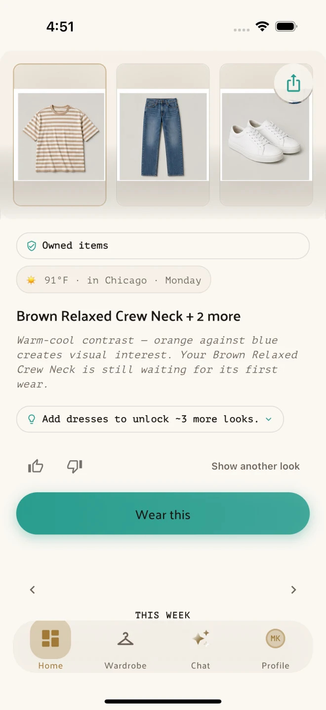 Clueless Daily Decision showing an outfit made from owned wardrobe items